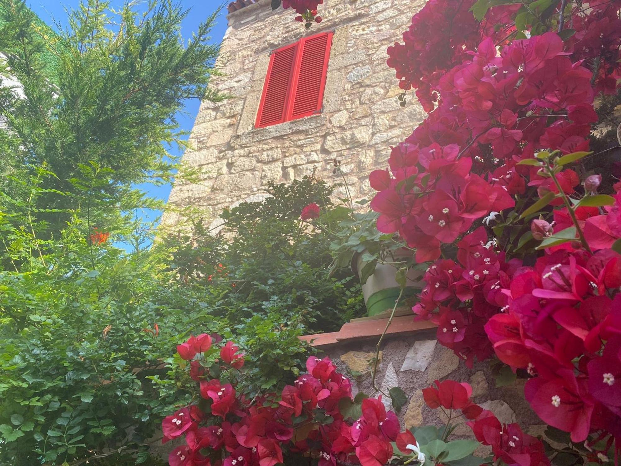 Marissa Boutique Hotel Çeşme 外观 照片
